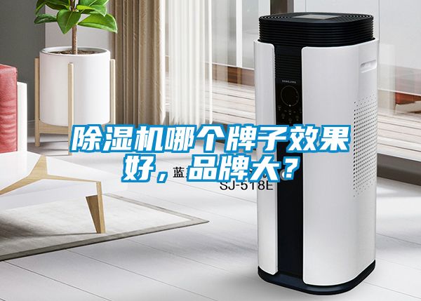 除濕機哪個牌子效果好，品牌大？