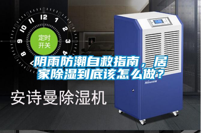 陰雨防潮自救指南，居家除濕到底該怎么做？