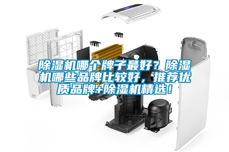 除濕機哪個牌子最好？除濕機哪些品牌比較好，推薦優質品牌+除濕機精選！