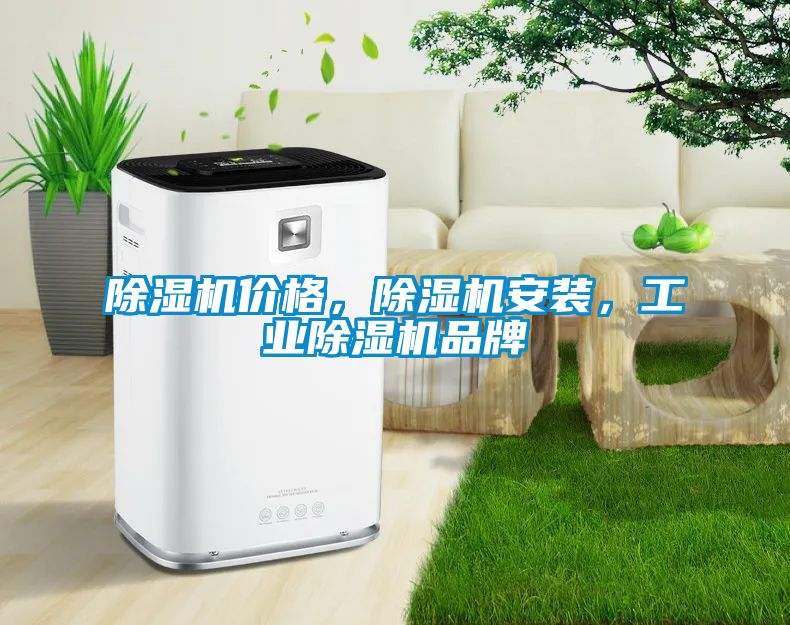 除濕機價格，除濕機安裝，工業除濕機品牌