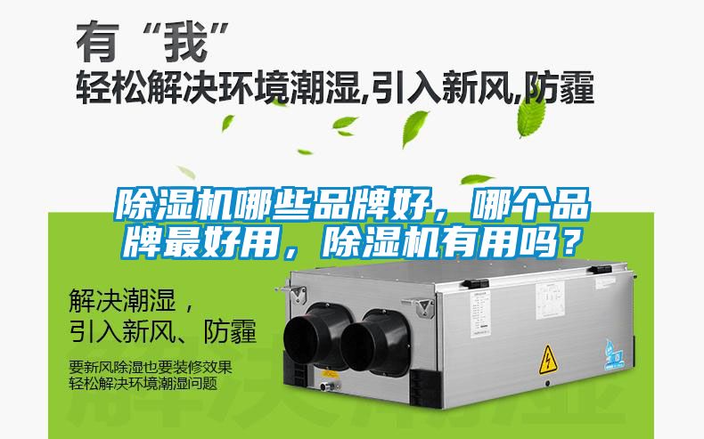 除濕機哪些品牌好，哪個品牌最好用，除濕機有用嗎？