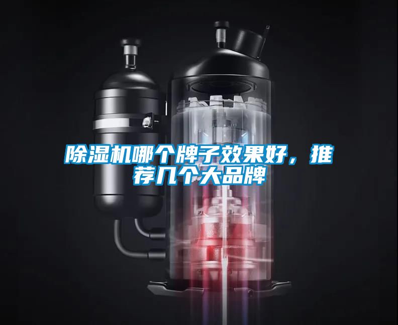 除濕機哪個牌子效果好，推薦幾個大品牌