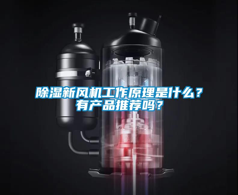 除濕新風(fēng)機(jī)工作原理是什么？有產(chǎn)品推薦嗎？