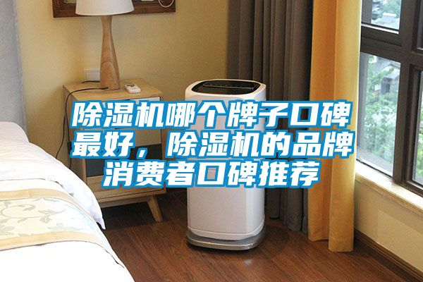 除濕機(jī)哪個牌子口碑最好，除濕機(jī)的品牌消費者口碑推薦