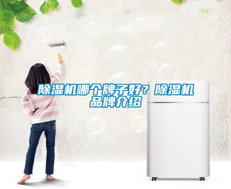 除濕機哪個牌子好？除濕機品牌介紹