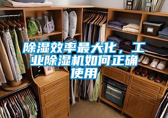 除濕效率最大化，工業(yè)除濕機(jī)如何正確使用