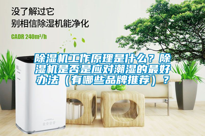 除濕機工作原理是什么？除濕機是否是應對潮濕的最好辦法（有哪些品牌推薦）？