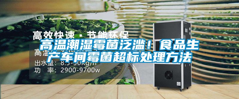 高溫潮濕霉菌泛濫！食品生產(chǎn)車間霉菌超標(biāo)處理方法